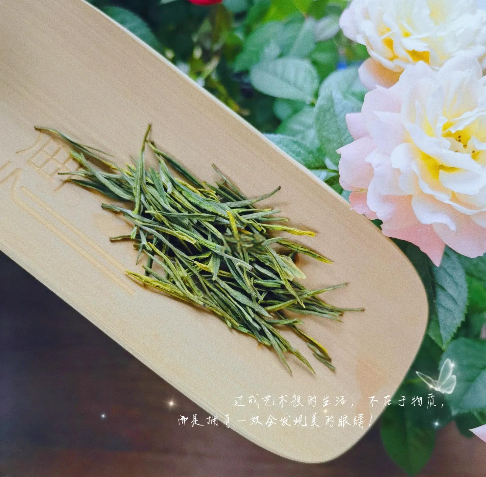 新手如何避坑？南京品茶全流程省30%费用指南解析