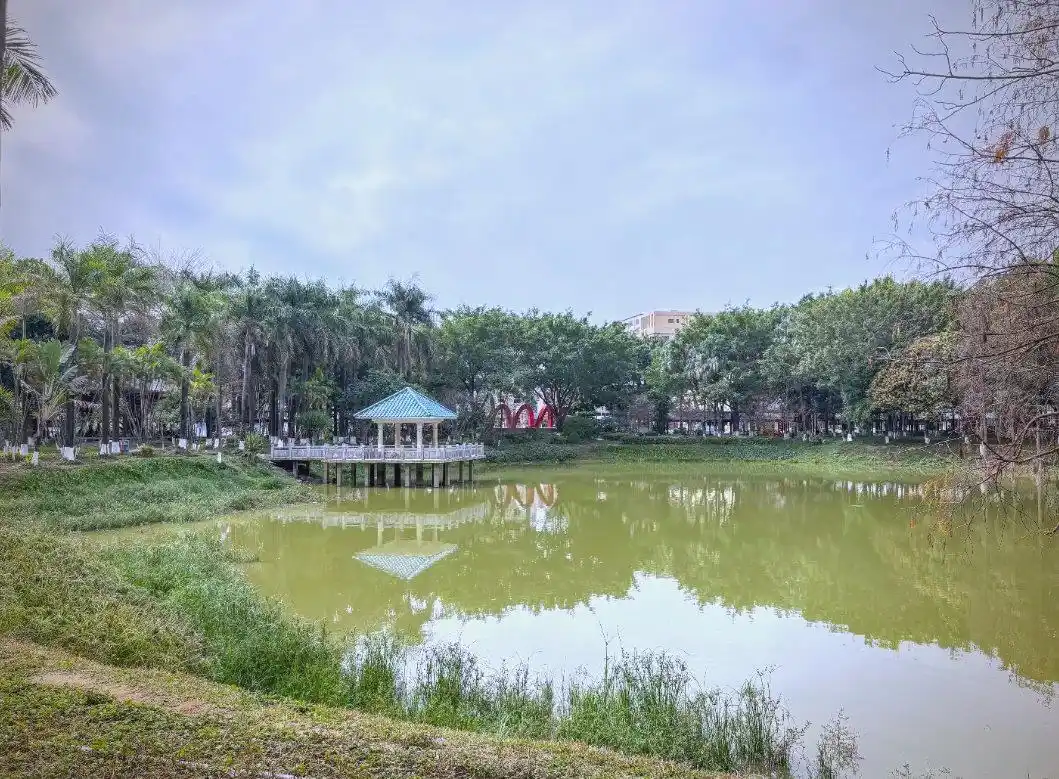 新一轮风暴正在来临:博罗园洲并入东莞石龙:真的会带来这些变化吗?你知道吗?