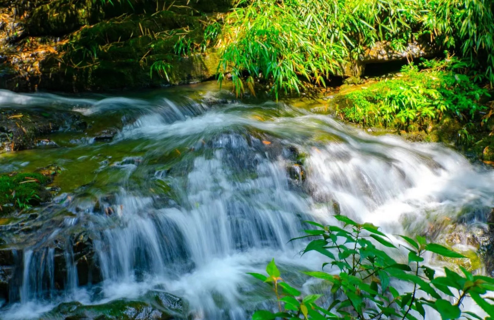 昆明700元3小时不限次数品茶