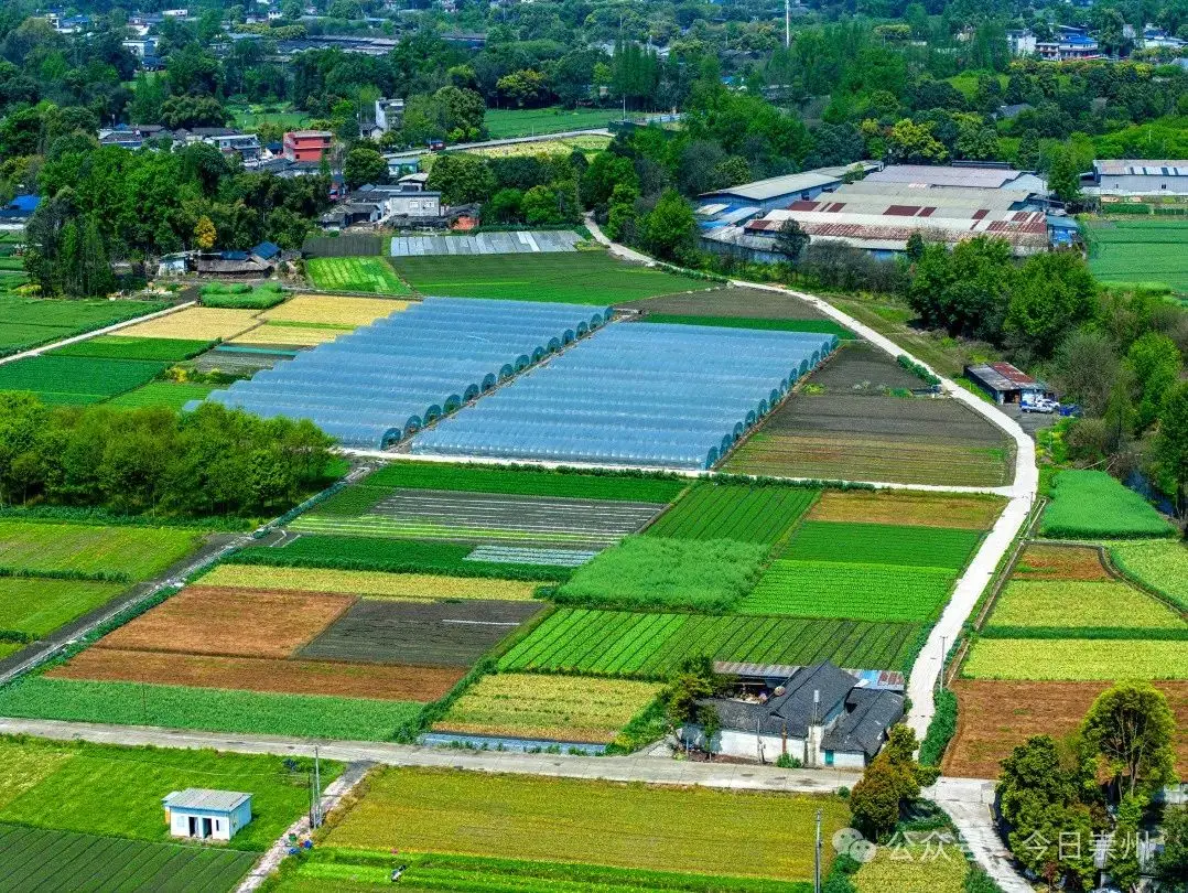 崇州600块钱全套是哪些服务