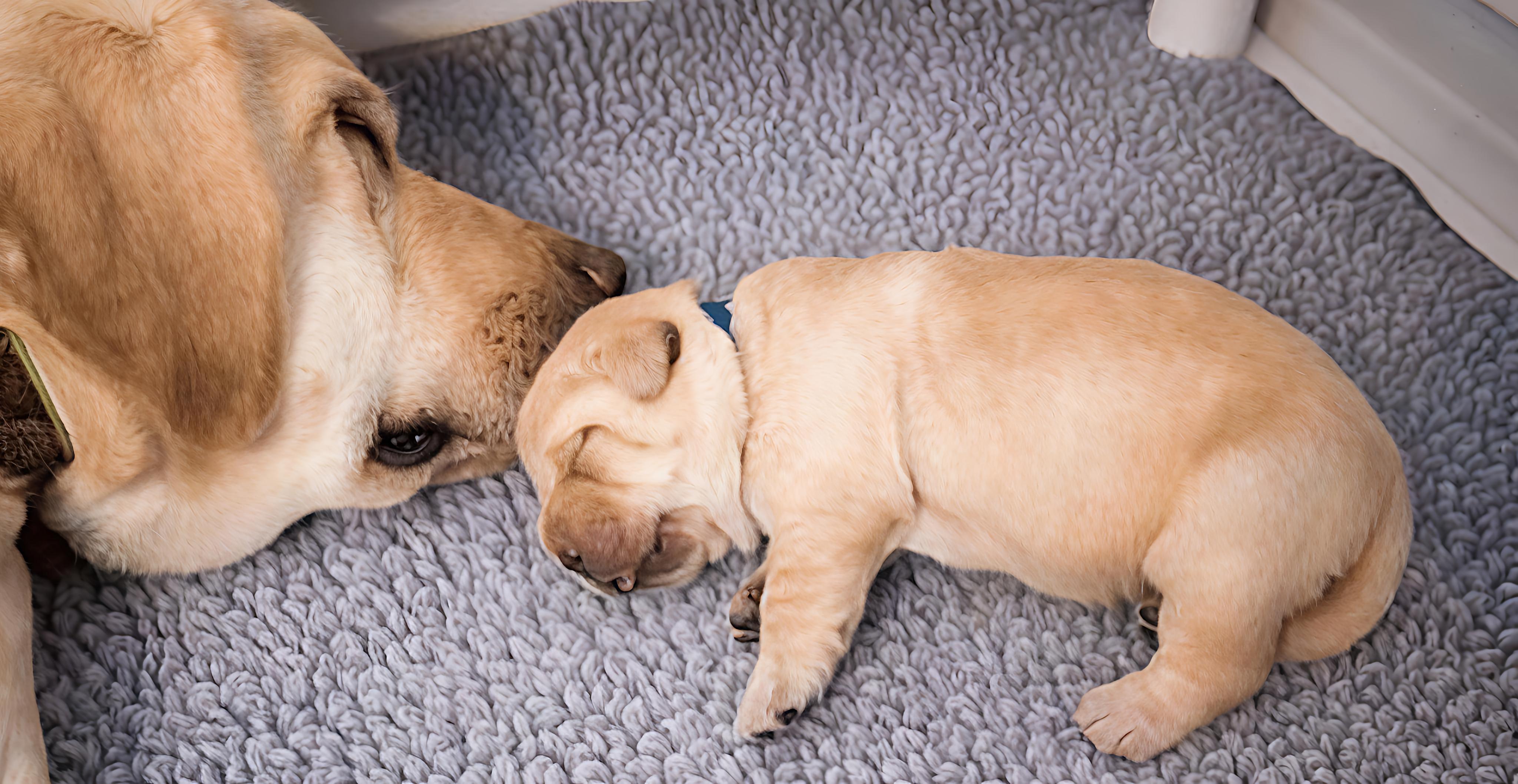 微信800三小时现象深度剖析，社交效率与时间成本的较量