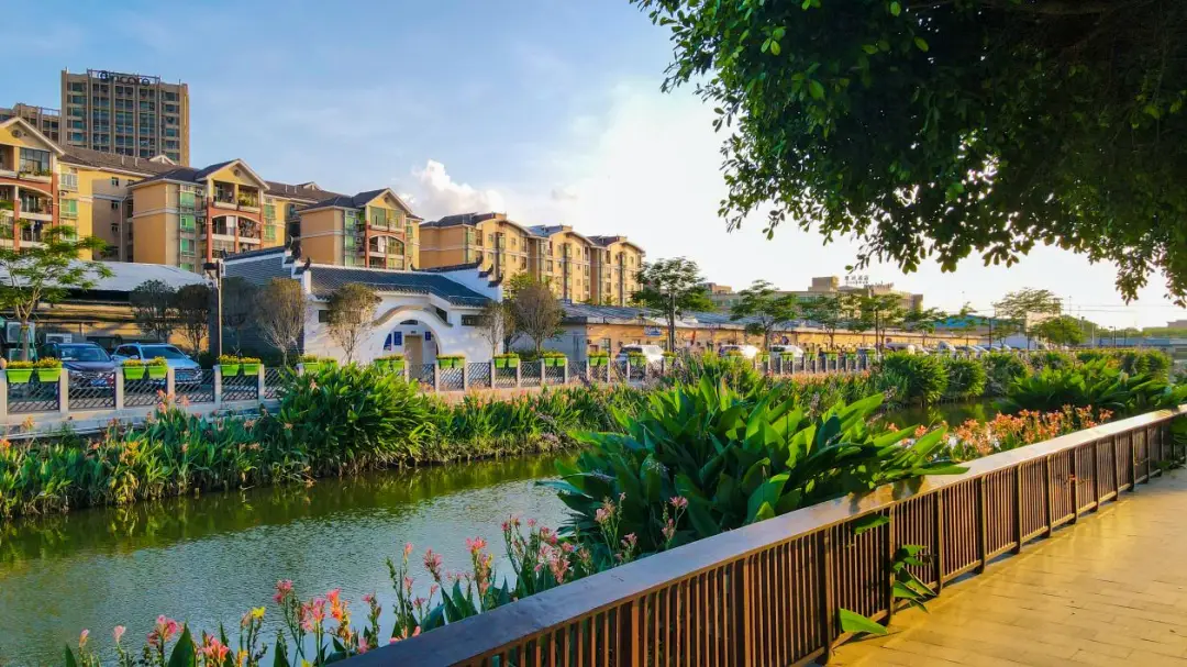 紧急转播:番禺钟村哪里有小巷子爱情,浪漫角落与隐藏故事全解析?