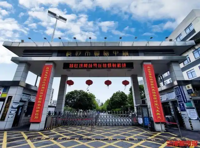 校门口妹子暗号2025剧情讲的是什么?