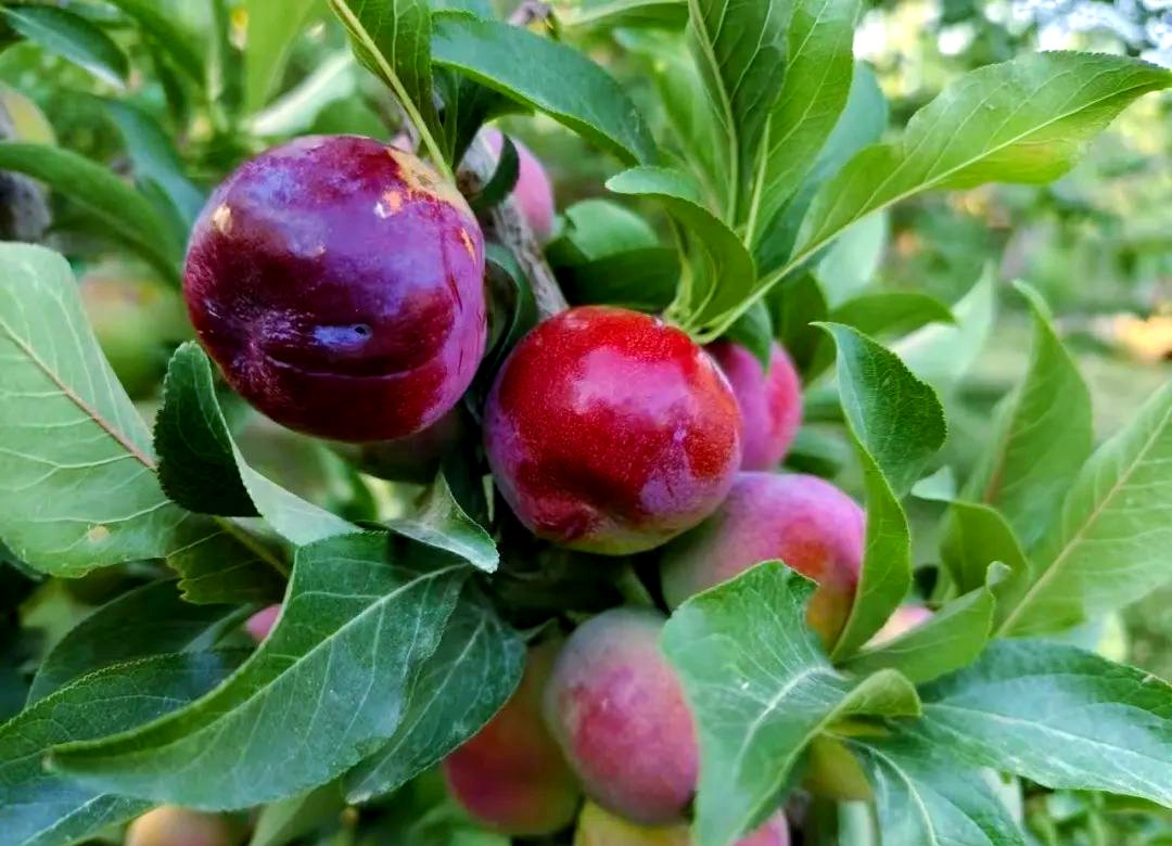 金昌酒店独特的顶级服务方式