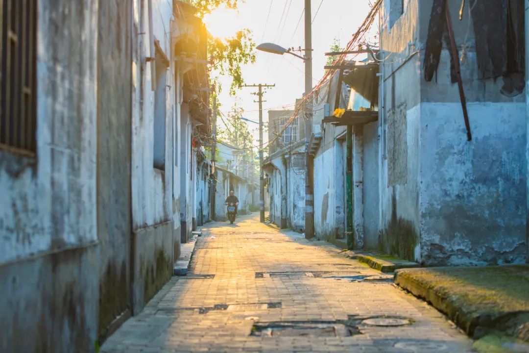 哈尔滨学院路小姑娘的青春图鉴,烟火巷陌里的成长叙事