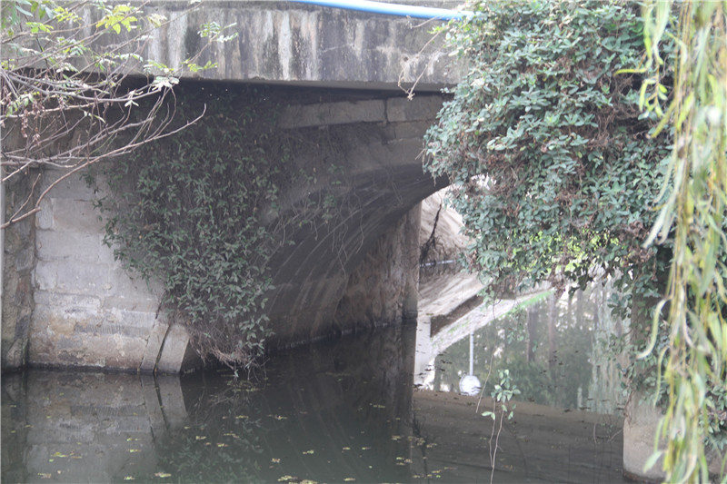 贵阳头桥你了解吗 2025年本地人实测攻略与避坑指南