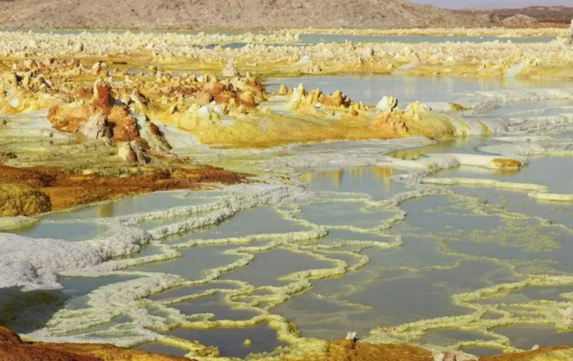 盐山网页设计教程