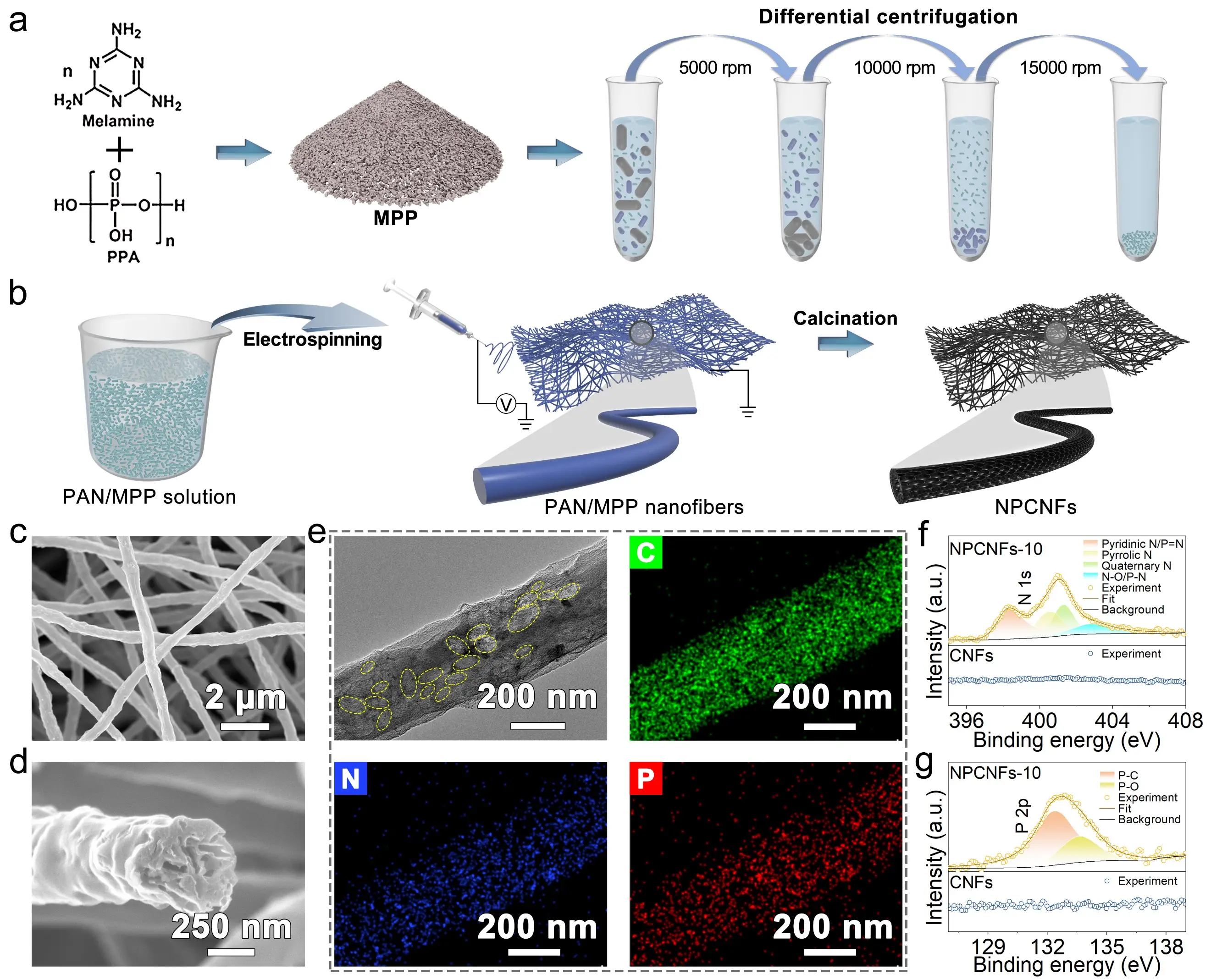 最新爆料显示一个月12万包养费真的存在吗？年轻人该如何理解情感与金钱的微妙关系