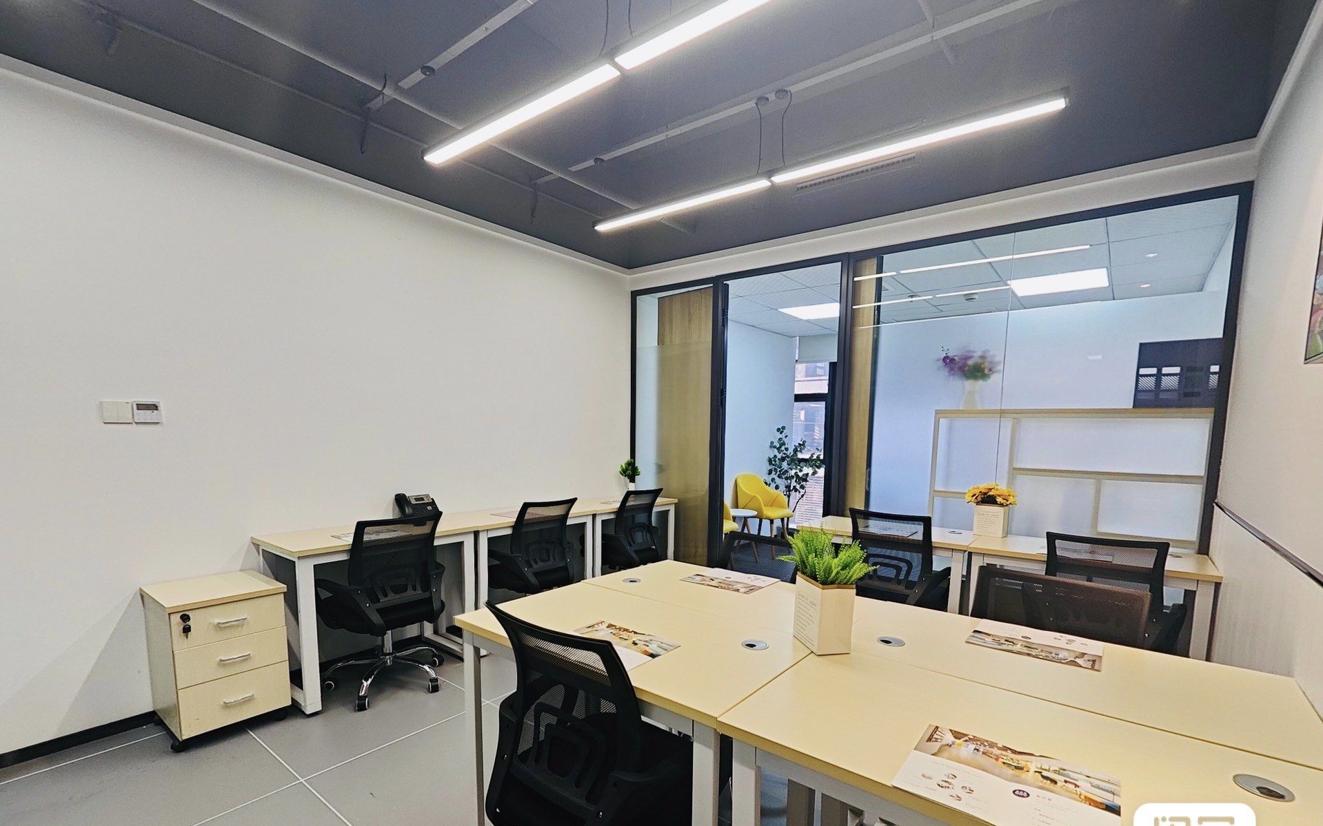 最新政府文件告诉你东莞喝茶工作室到底该怎么选 最新政府文件显示,东莞喝茶工作室究竟怎么选？全面解析真实体验与隐藏细节