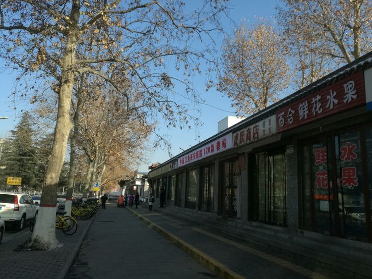 根据权威消息爆料：西安土门小树林到底在哪里怎么去安全吗