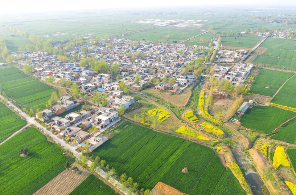 济宁谢营市场今昔探秘，传统集市的现状和发展