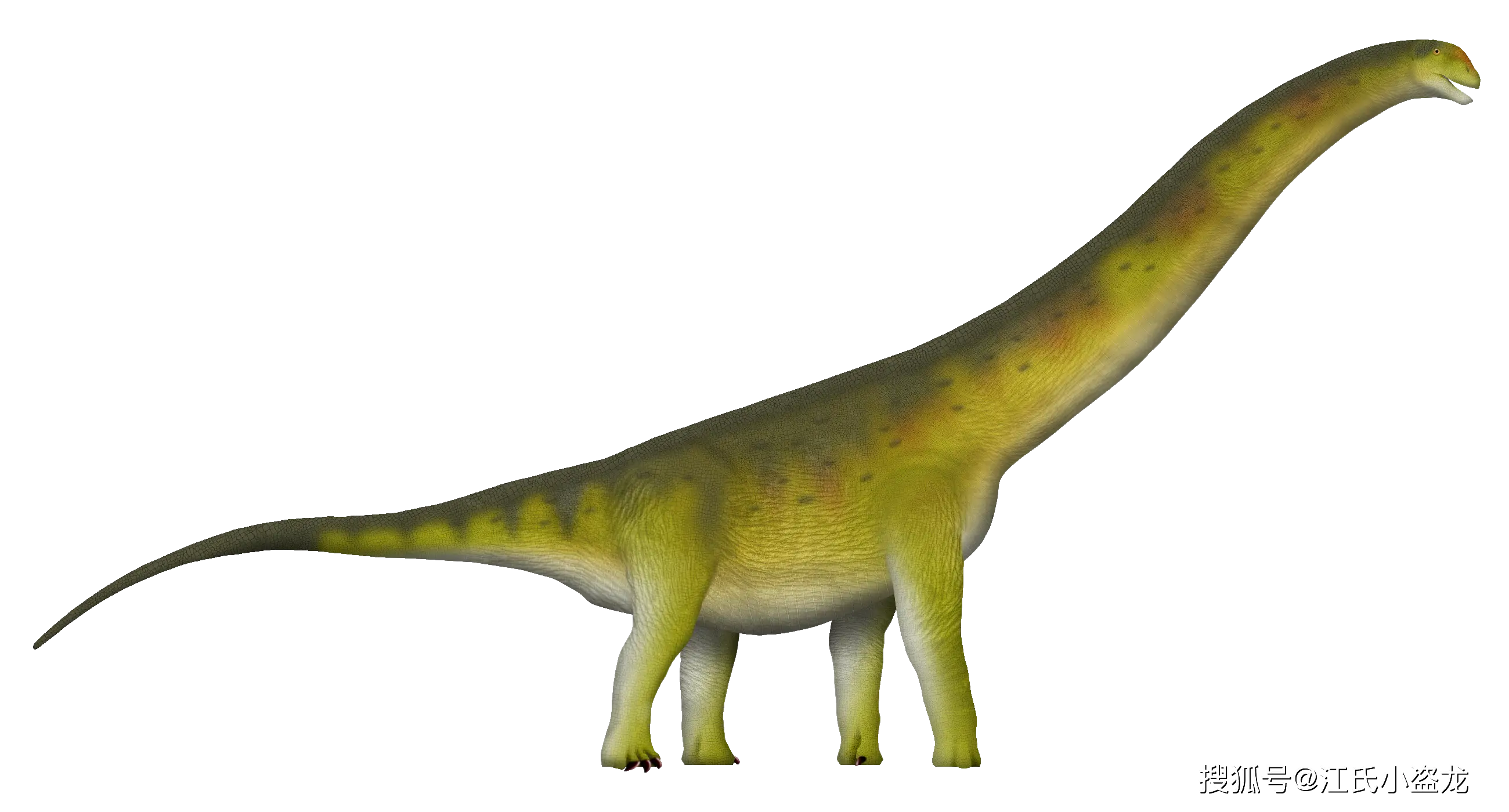 常州火车站有泄火的地方吗