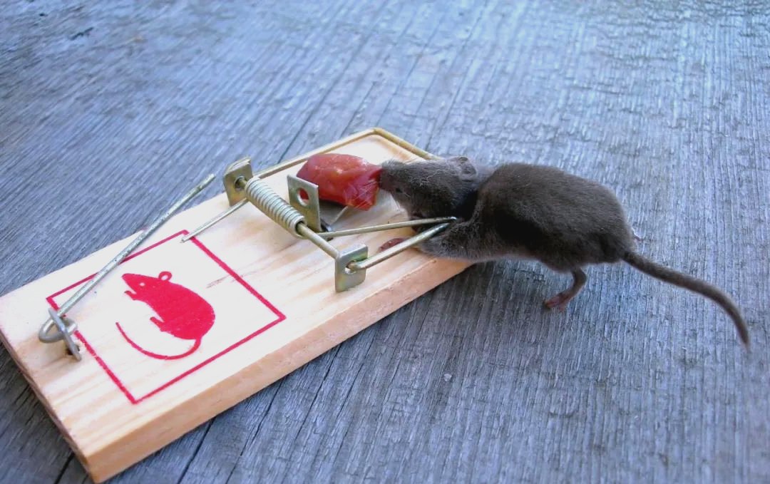 建阳社区防治服务升级，简易处罚和电路维修指南一览