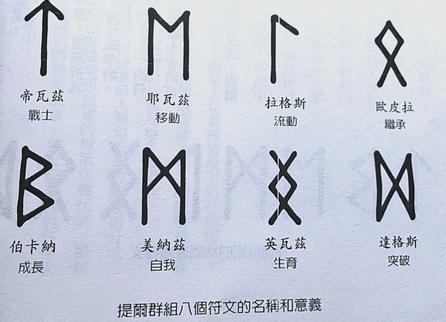 SP打法实战教程,真人操作进阶指南