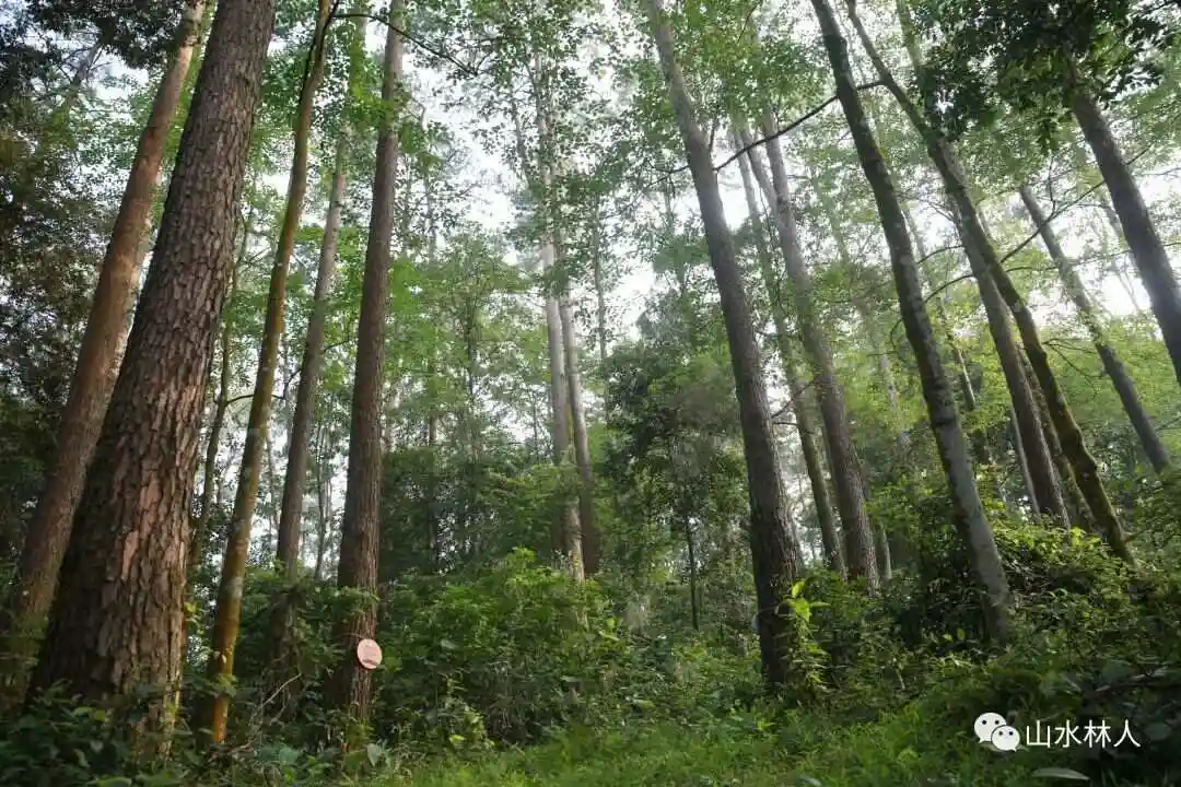 当阳初中生50元3小时电话