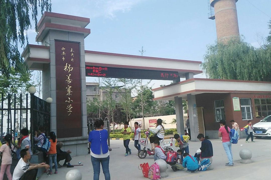 杨善村100元一条街现状探秘与深度解析