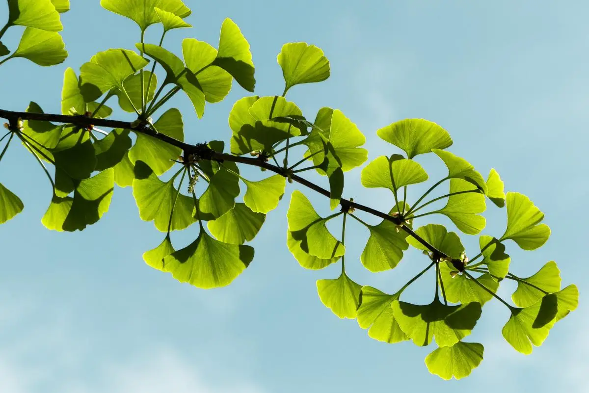 700元3小时不限次数品茶宁波到底值不值？