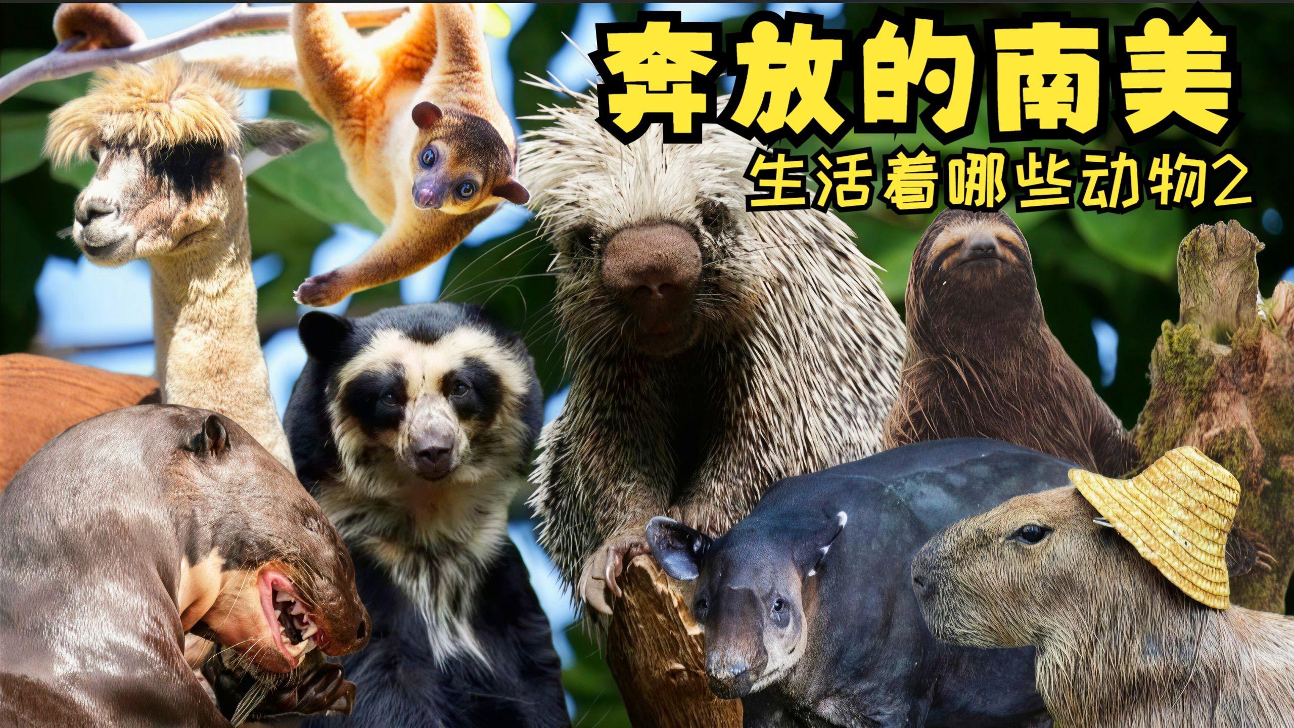 营口火车站周边美食与有趣火车站名字大揭秘