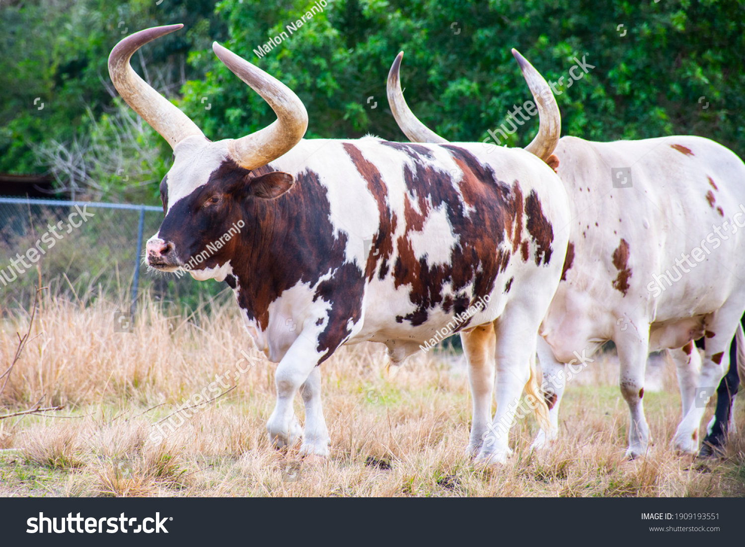 北京百子湾约,城市更新与社区活力的共生密码