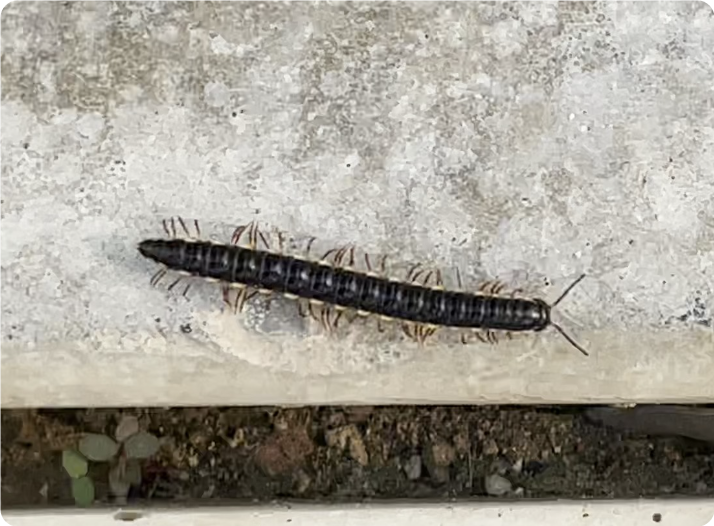 重大事件揭秘：曝光上海嘉定马陆哪有站巷的详细位置及实用推荐