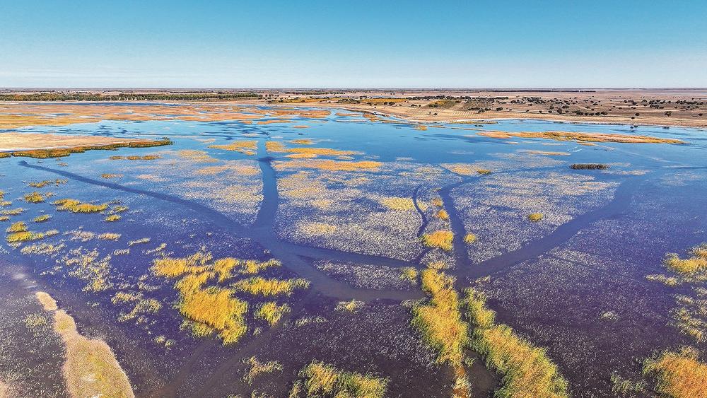 洮南300元一次炮值吗