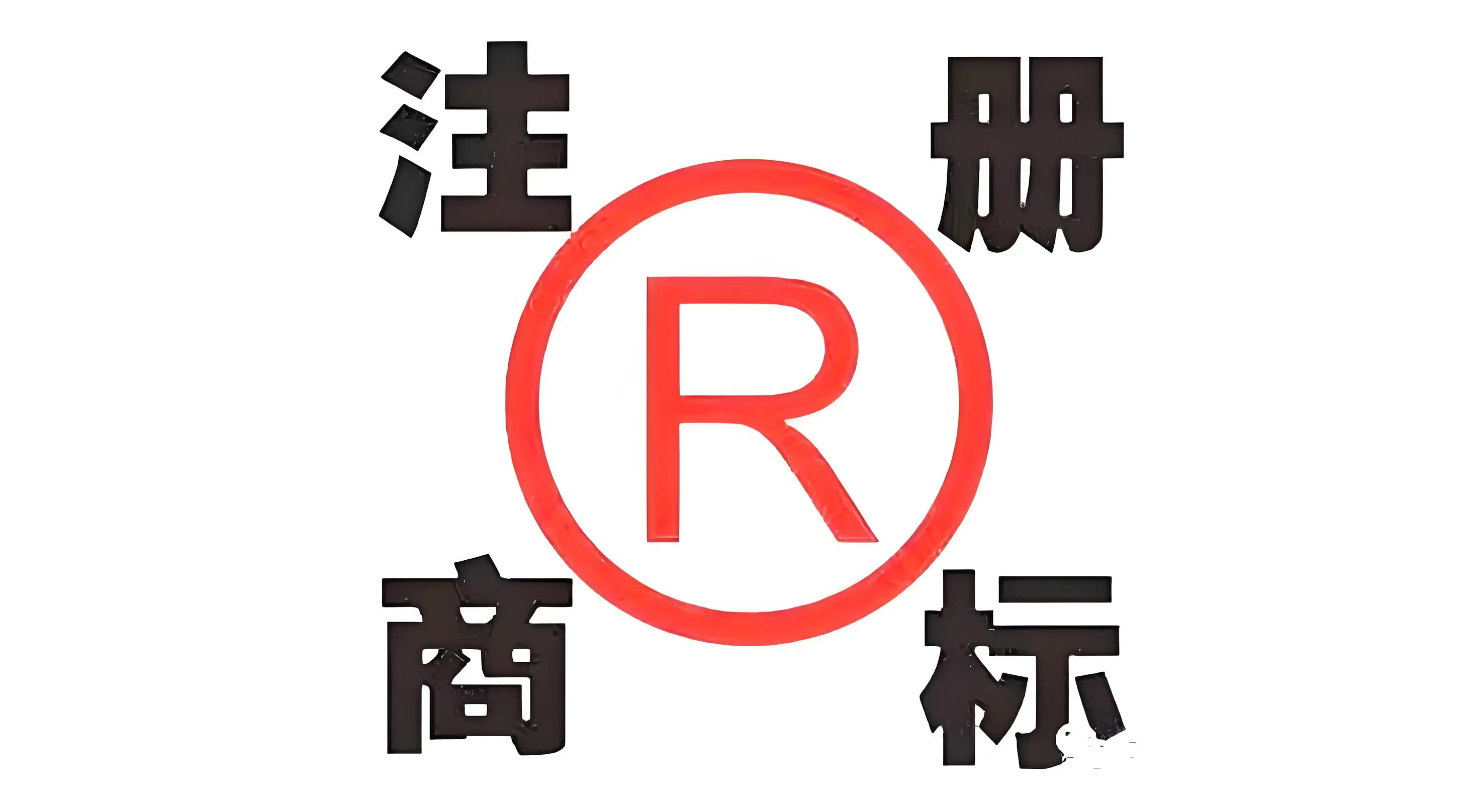 51风楼阁信息全解析：新手必看的实用指南