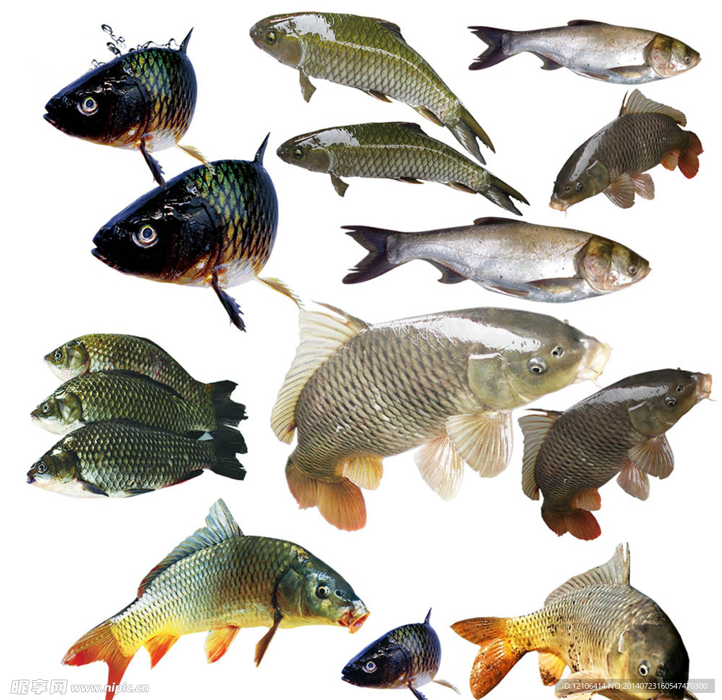 有关部门最新通报!夜上海论坛网2025年实测:用户安全与内容避坑指南