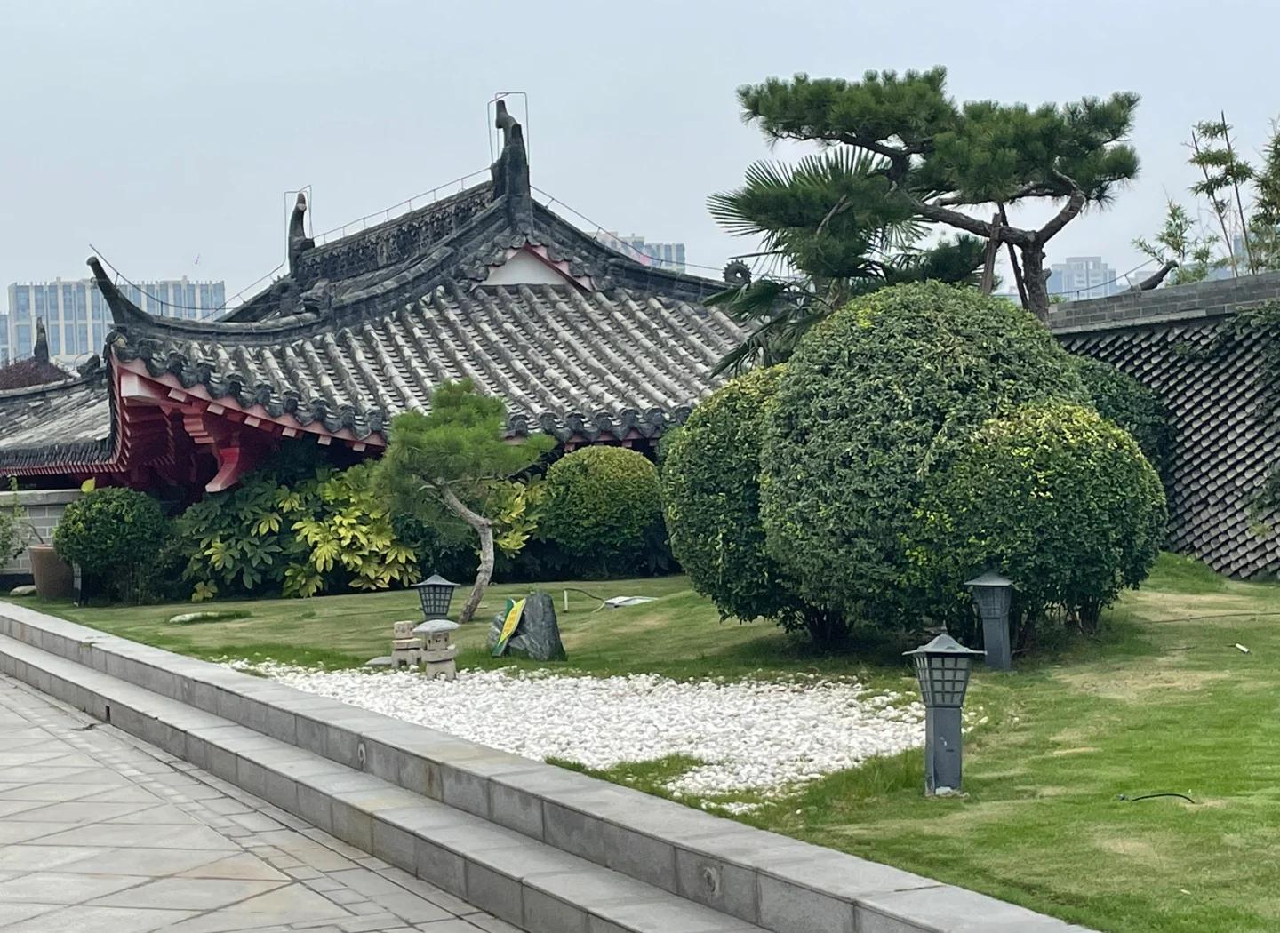 郑州出差怎么找当地的品茶