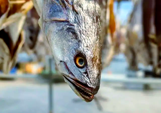 如何在咸鱼上交到真朋友？