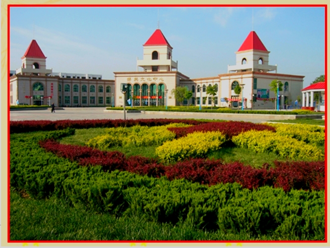 200元3小时上门二维码服务解析，揭秘高效便捷的数字化解决方案新思路