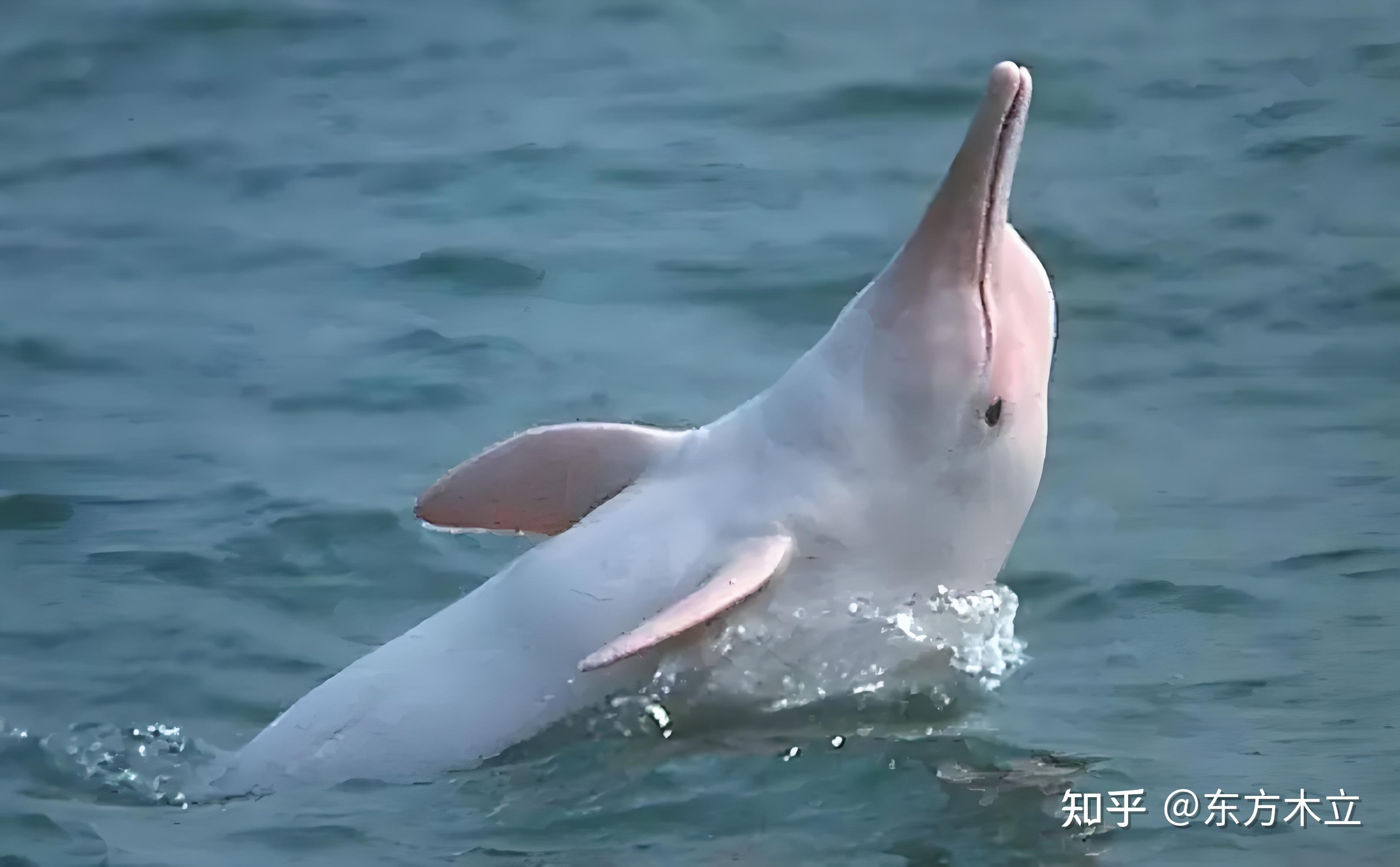 哪些App可以免费约到同城好友 同城免费约会帮助指南