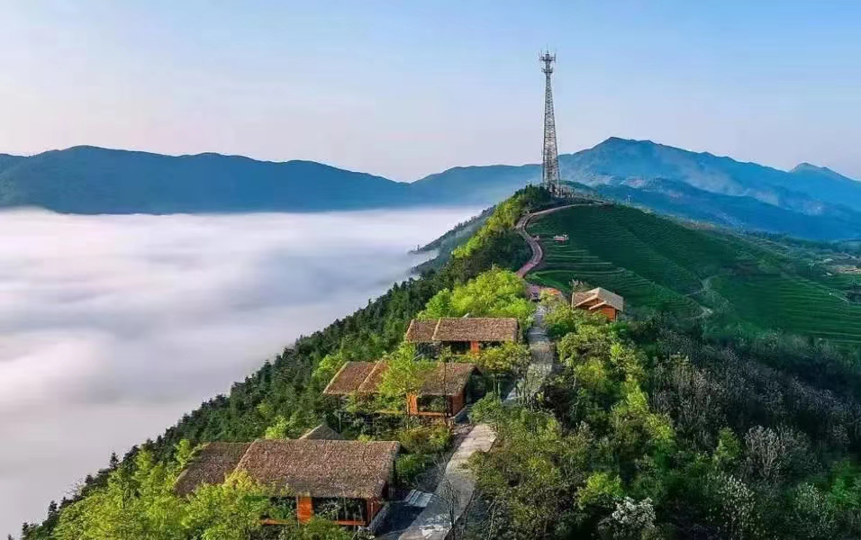 一周要闻!世界真的有鸡婆吗?2025年深度解析与避坑指南:揭秘传统与现代认知差异