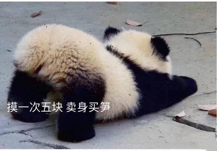 卖身网站现象解析,当代青年的职业选择困境与突围路径