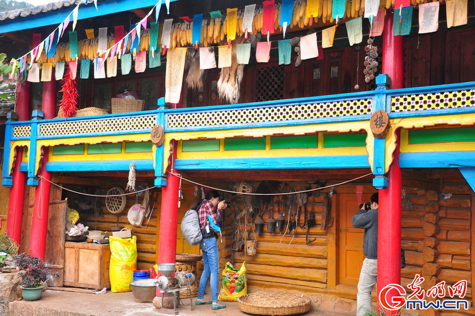 万花楼QM论坛究竟怎么玩才能快速上手？