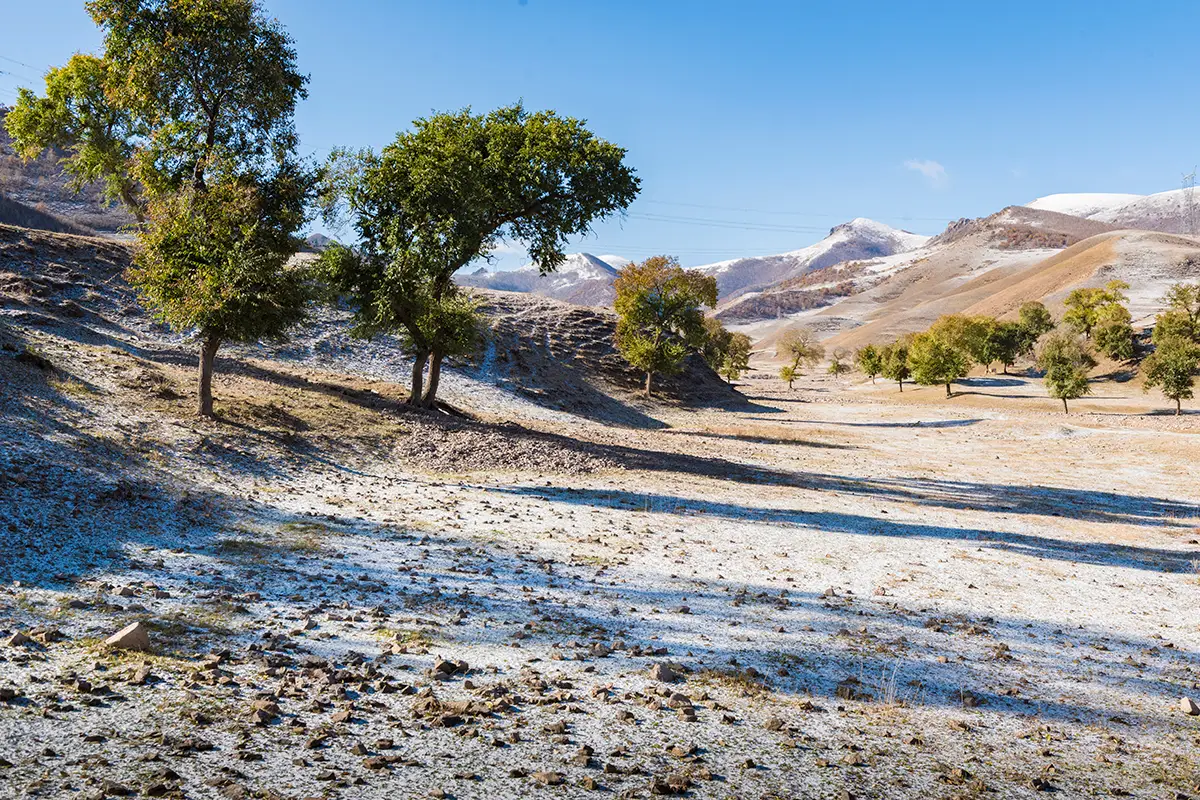承德微信附近人300元三小时