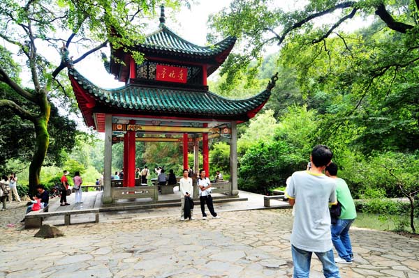 武汉网页设计案例