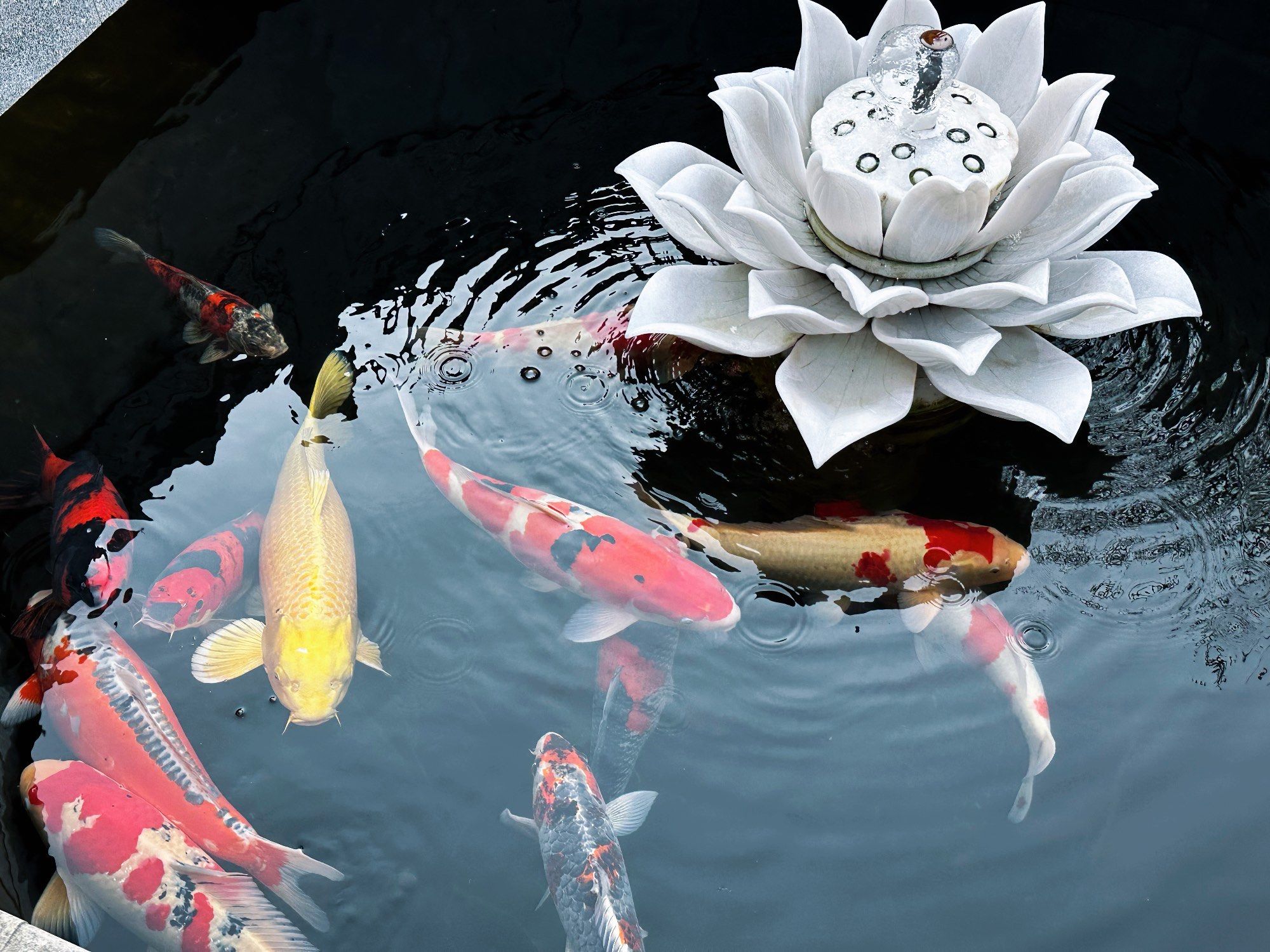 天河公园游玩全攻略：自然美景与人文魅力的完美邂逅