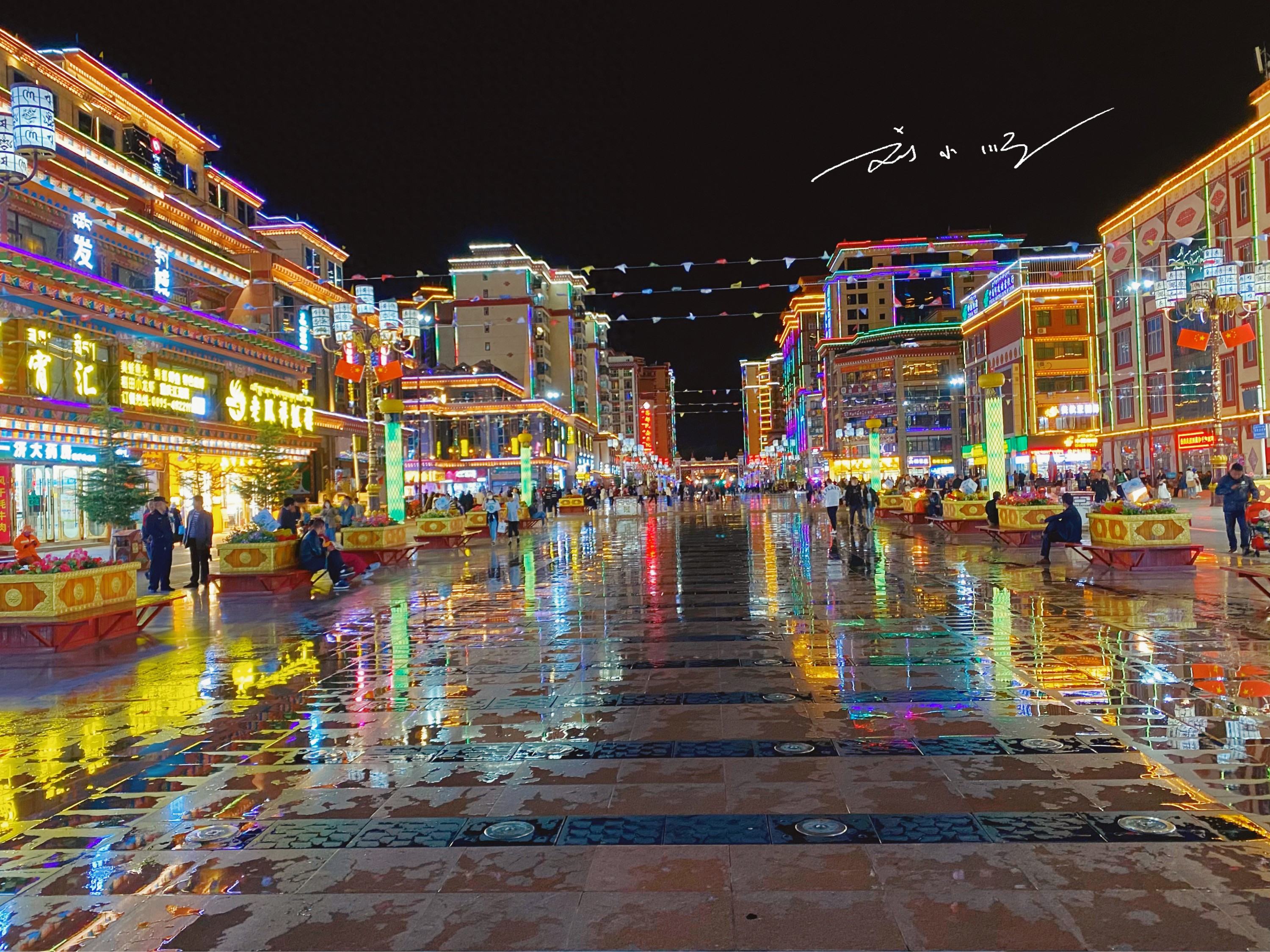 同成夜约,城市夜晚的隐秘契约,月光照亮了谁的孤独