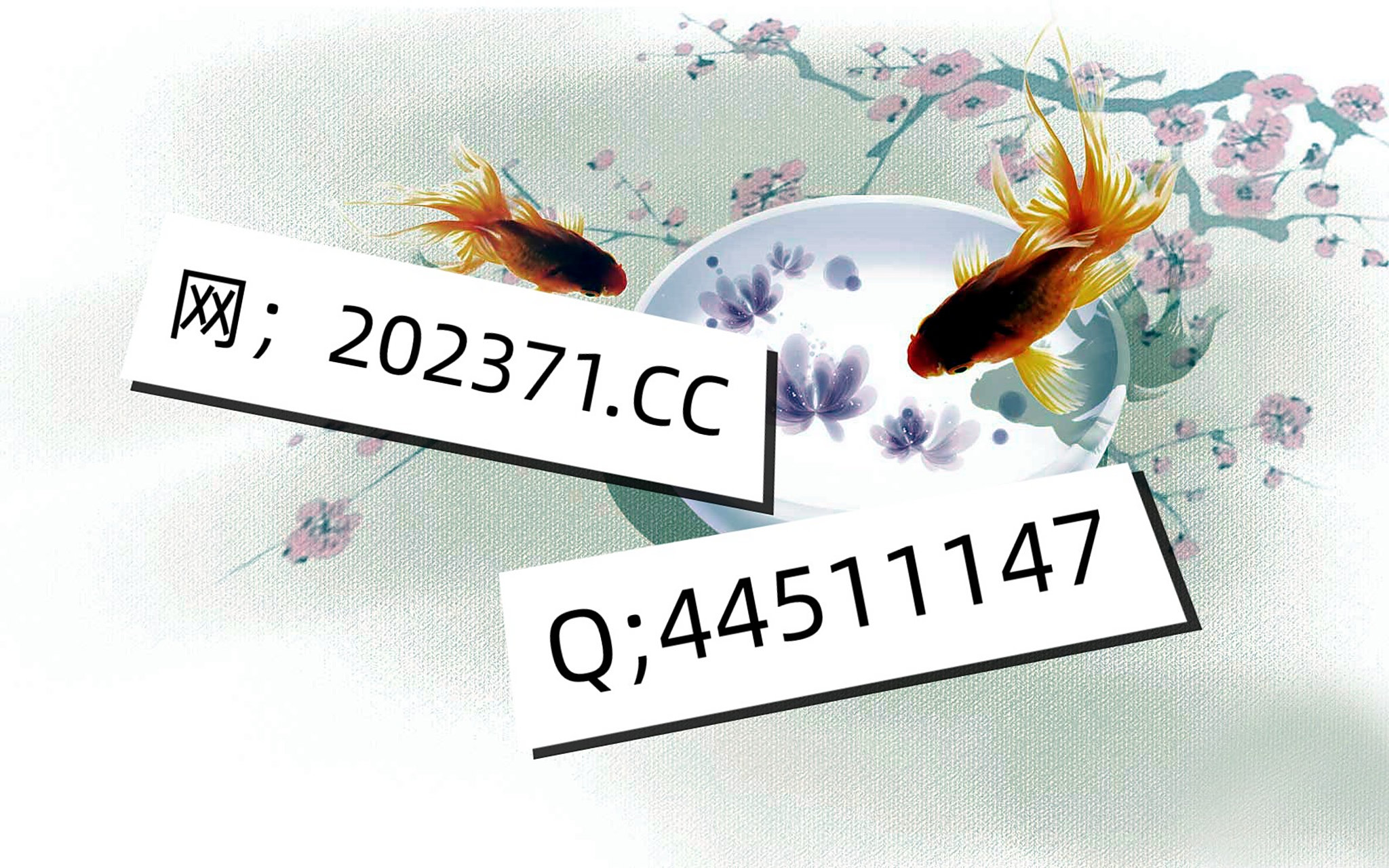 300元同城约茶服务全解析与避坑指南，详解与防坑技巧