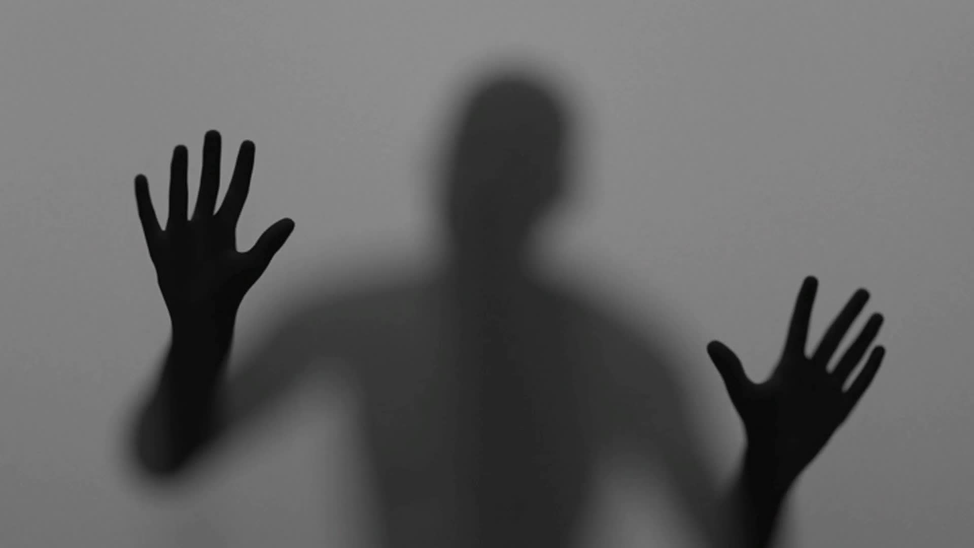 PS如何制作影子 PS制作树木的影子