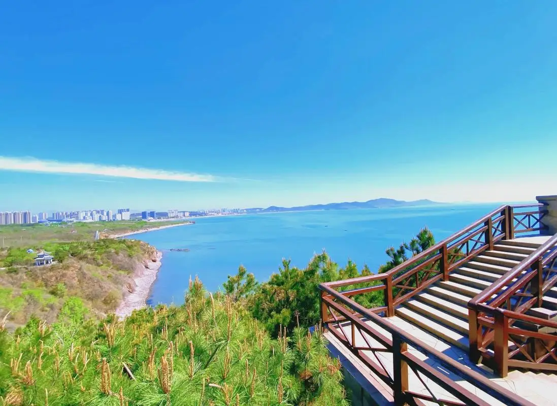 葫芦岛想包个大学生怎么联系