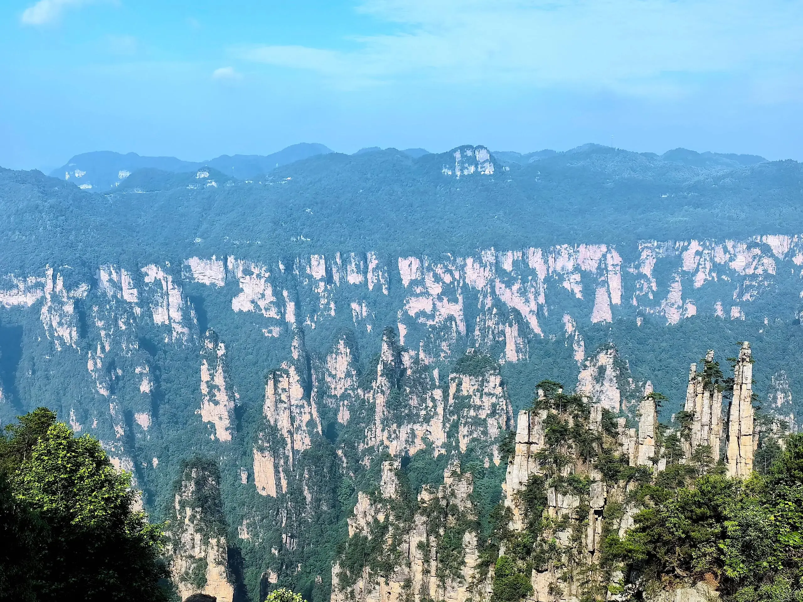 张家界特色美食与旅游攻略全解析——张家界喝茶快餐号