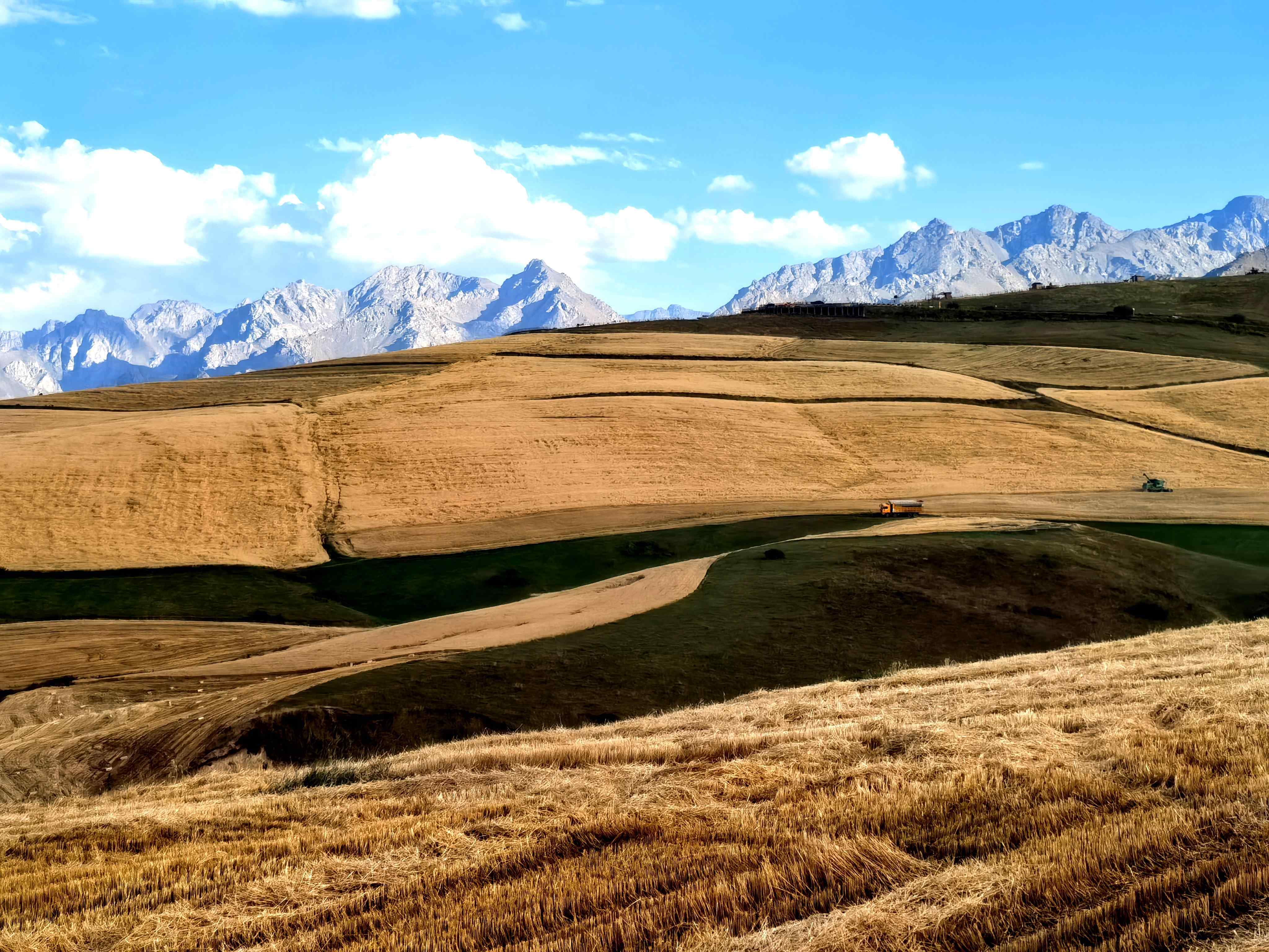 行业大事:按摩店嫖老熟妇到底是怎么一回事?行业老手的深度解析与建议