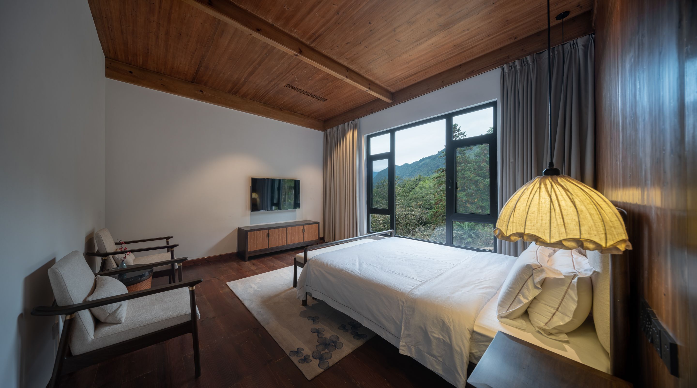 50元买一夜童话?小树林民宿的性价比暴击全解析