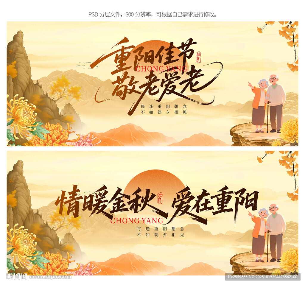 专家解读：乡村走基层服务模式深度剖析，关爱老年女性的实际需求