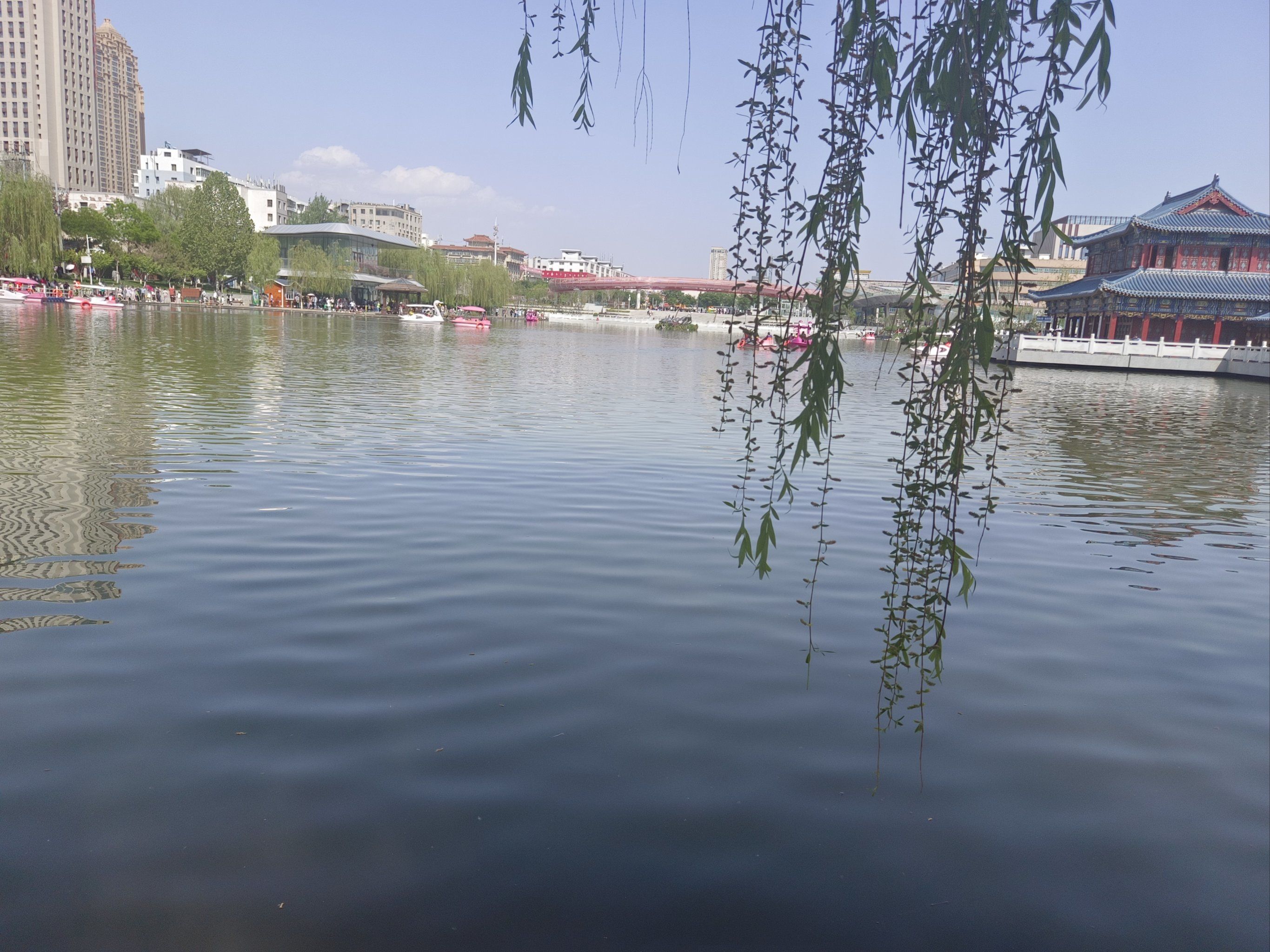 必读：兰州雁滩地下酒吧现在开吗？2025年营业实探与避坑指南