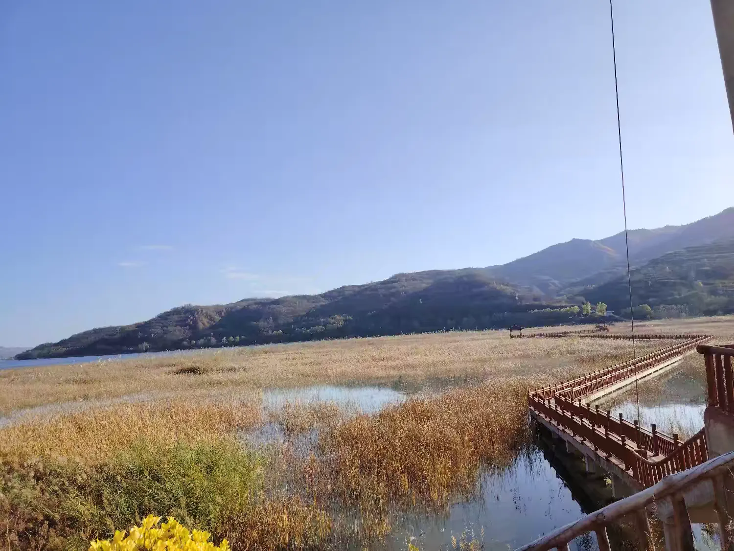 佛山禅城小巷子价格揭秘：本地人教你如何花小钱玩出大滋味