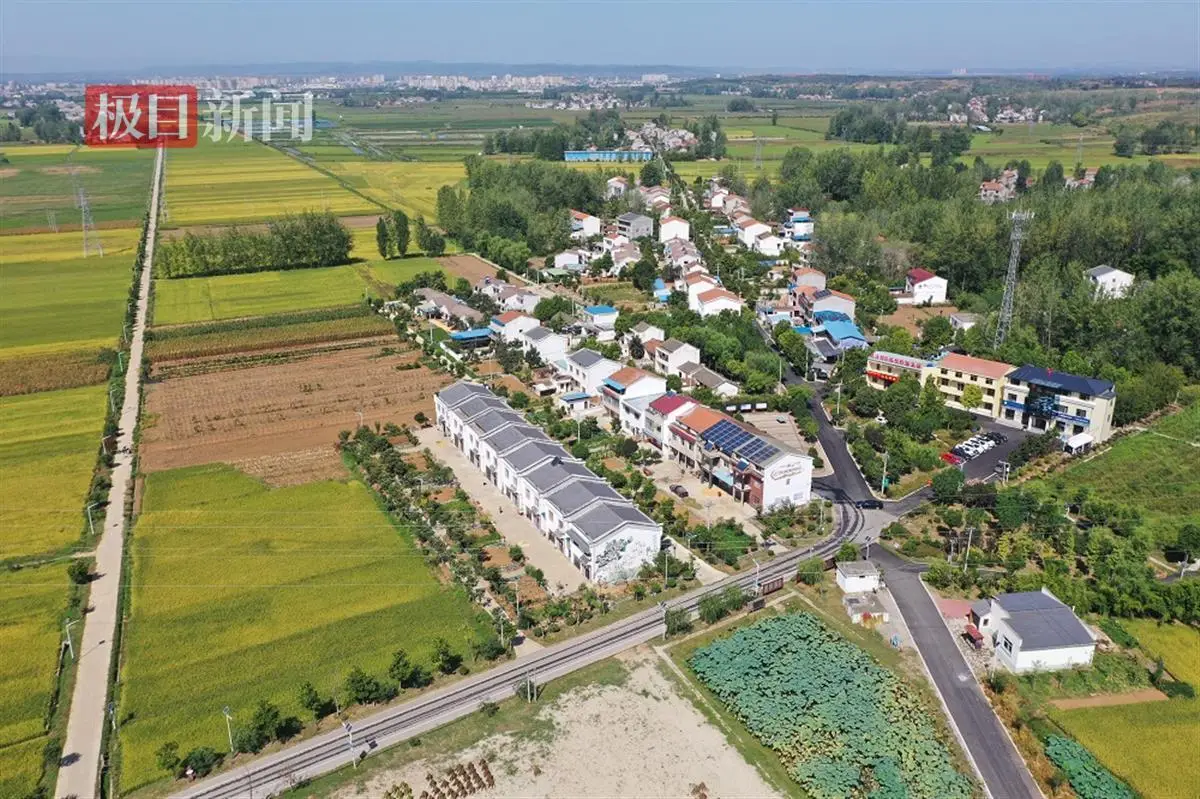 50元一次的张庄小胡同服务到底值不值得？揭秘费用避坑全流程