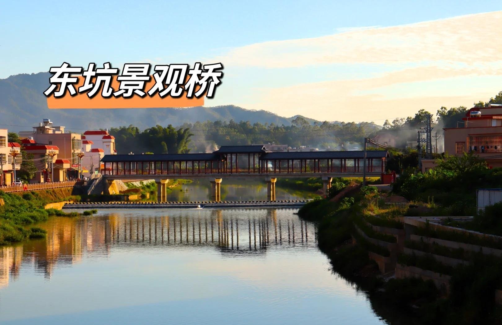 崇左品茶工作室