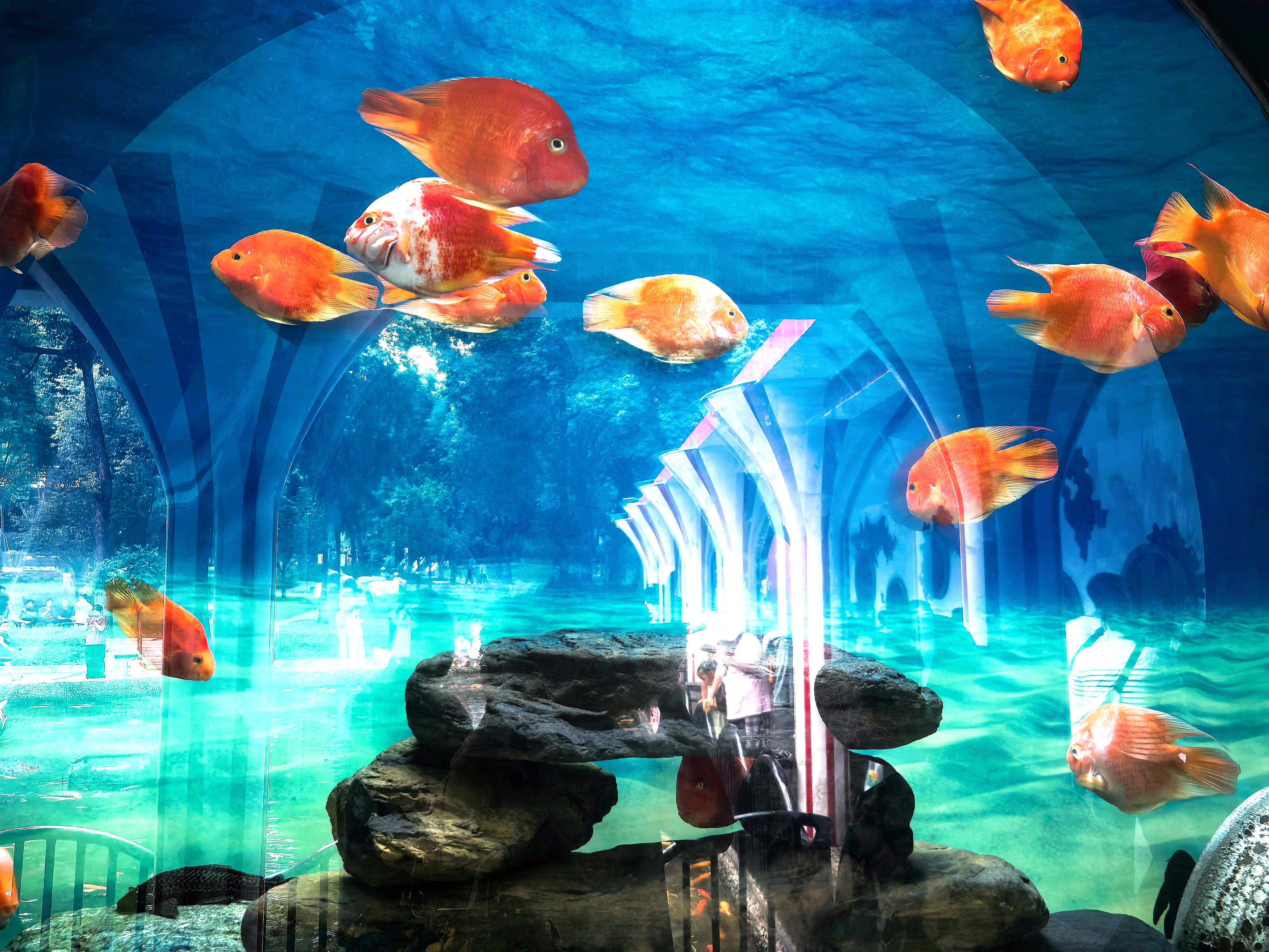 夜成都去哪玩？3大夜市亲测省钱攻略，轻松省下50%预算